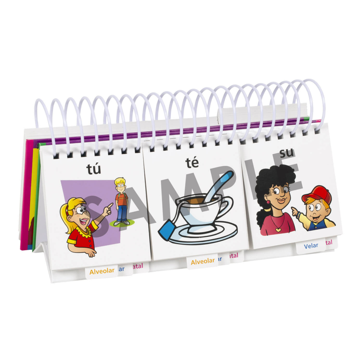 Word FLiPS® en Español - Imagen 5