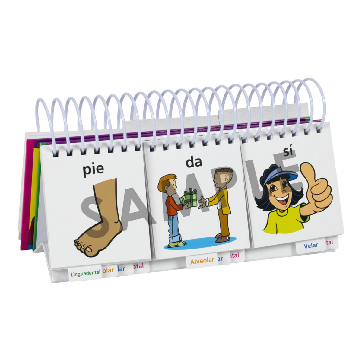 Word FLiPS® en Español - Imagen 6